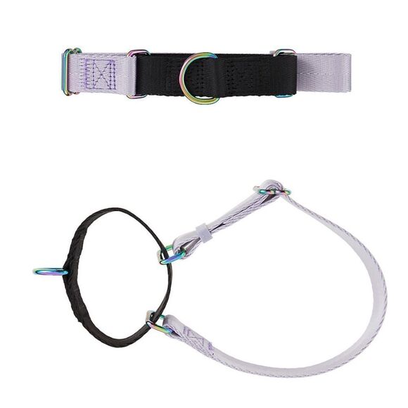 Top Paw Large (L) No-Slip Martingale Dog Training Collar Lavender Purple Puppy - Picture 1 of 7